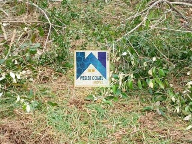 Terreno venda em Santa Isabel