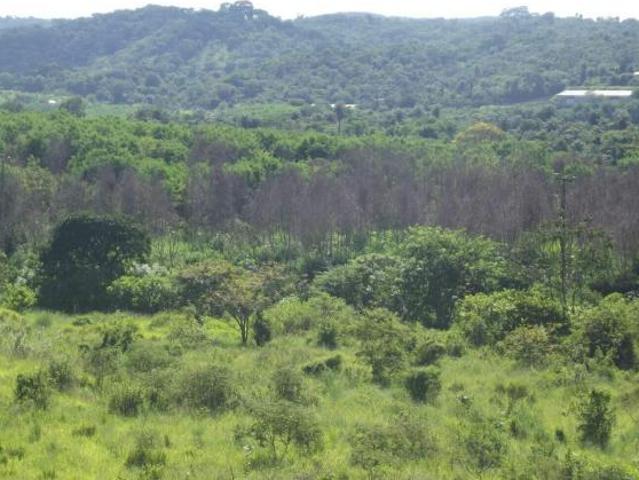 Terreno venda em Região Geográfica Imediata de Belo Horizonte, Região Metropolitana de Belo Horizonte