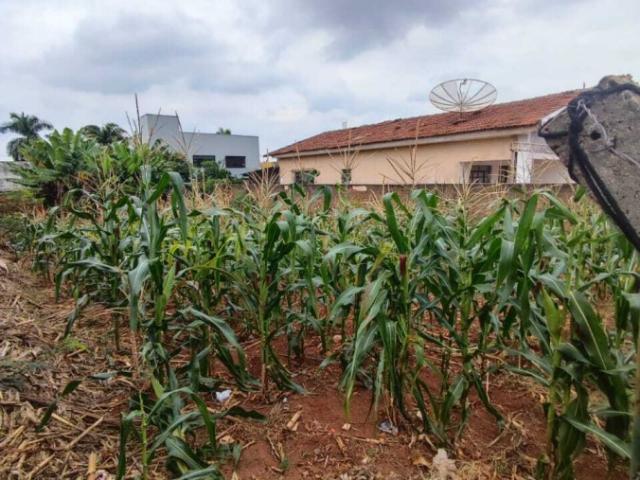 Terreno venda em Região Imediata de Campinas, Região Metropolitana de Campinas