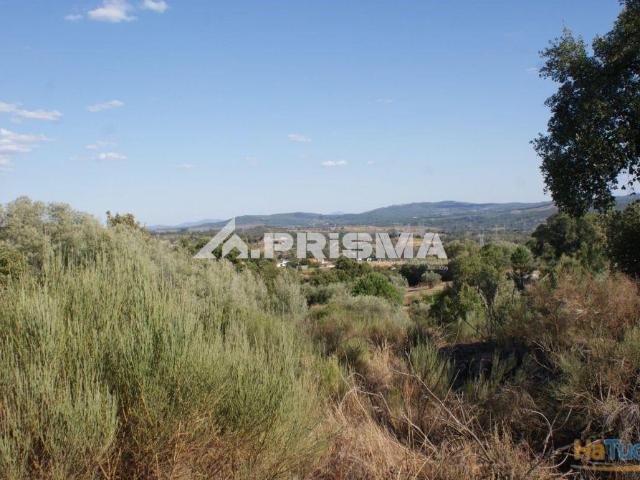 Terreno venda em Castelo Branco, Aldeia Nova Do Cabo