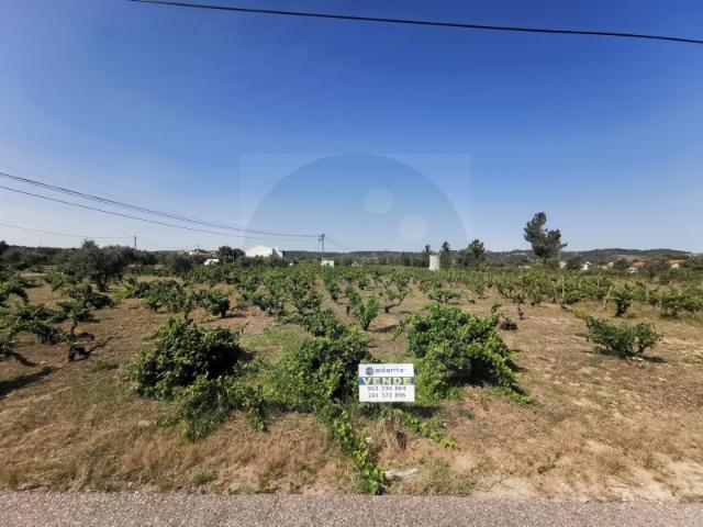 Terreno venda em Abrantes, Santarém