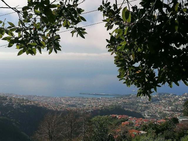 Apartamento venda em São Roque, Funchal