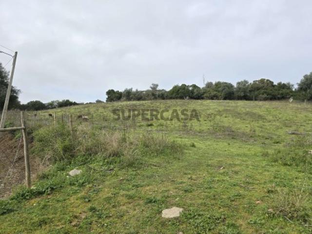 Terreno venda em Arneiro dos Borralhos, Santarém
