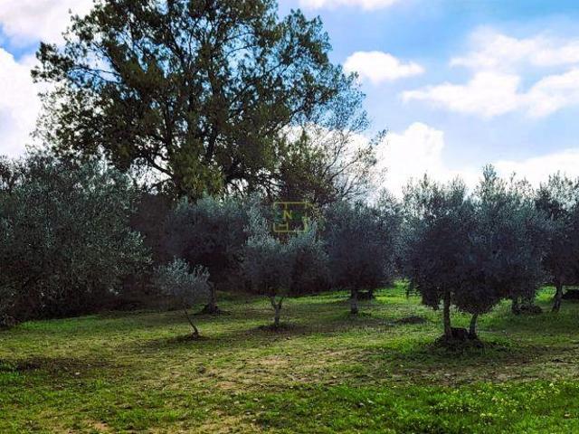 Terreno venda em Castelo Branco, Idanha-a-nova