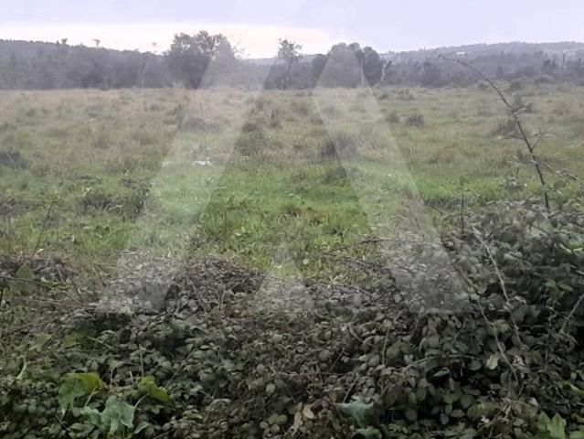Terreno venda em Mealhada, Aveiro