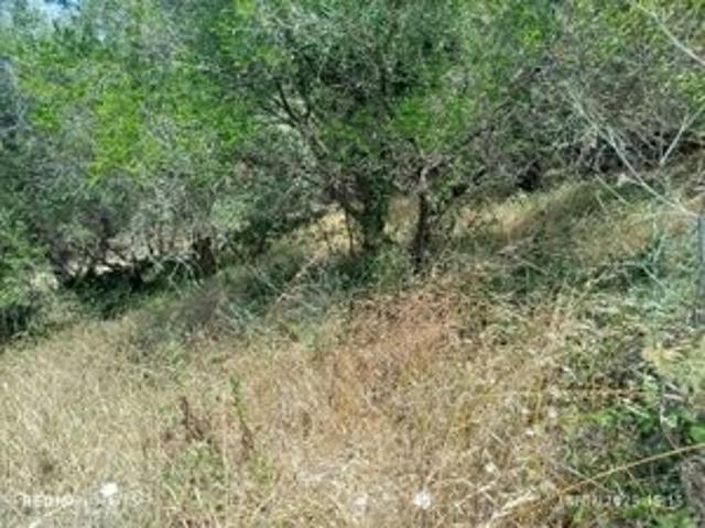 Terreno venda em Sintra, Lisboa