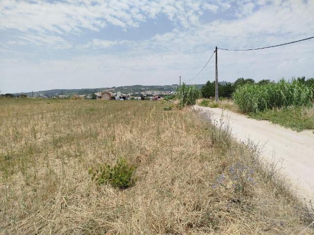 Terreno venda em Alenquer, Lisboa