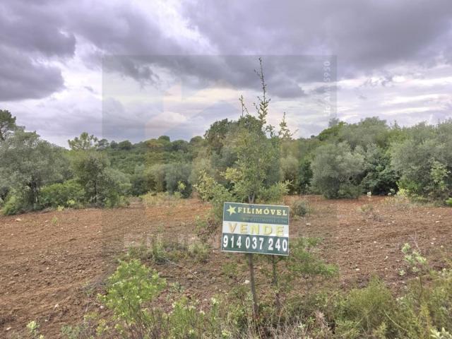 Terreno venda em Alcanena, Santarém