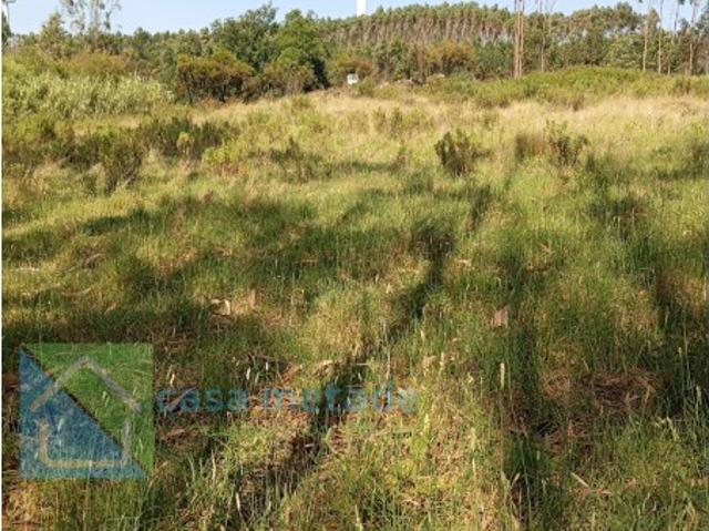 Terreno venda em Casais de Santo António, Torres Vedras