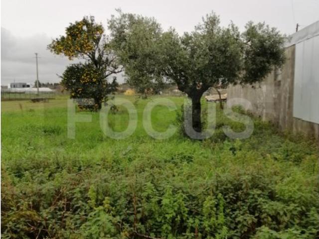 Terreno venda em Oliveirinha, Aveiro