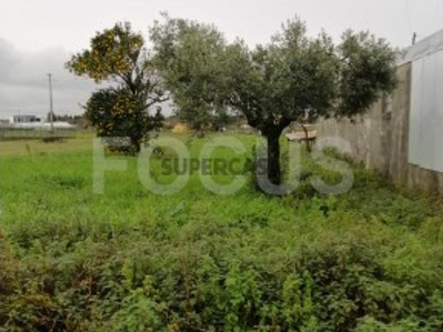Terreno venda em Aveiro
