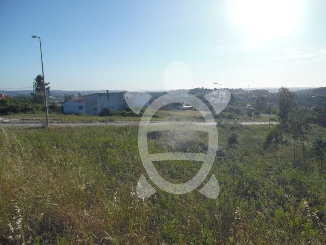 Terreno venda em Coimbrã, Coimbra