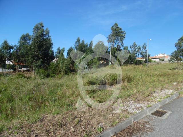 Terreno venda em Coimbrã, Coimbra