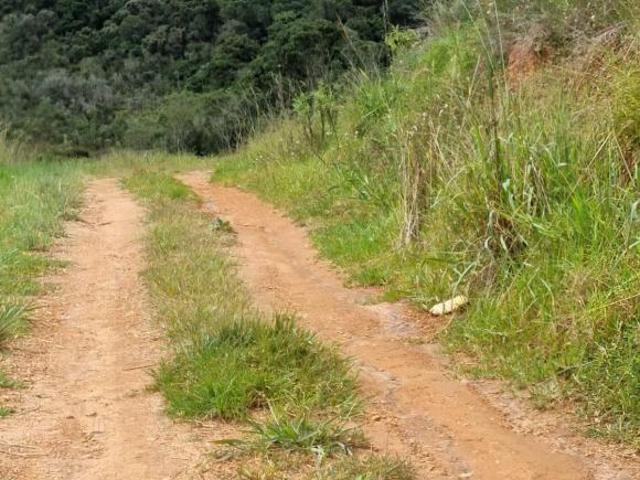 Terreno venda em Região Geográfica Imediata de Pouso Alegre, Senador Amaral