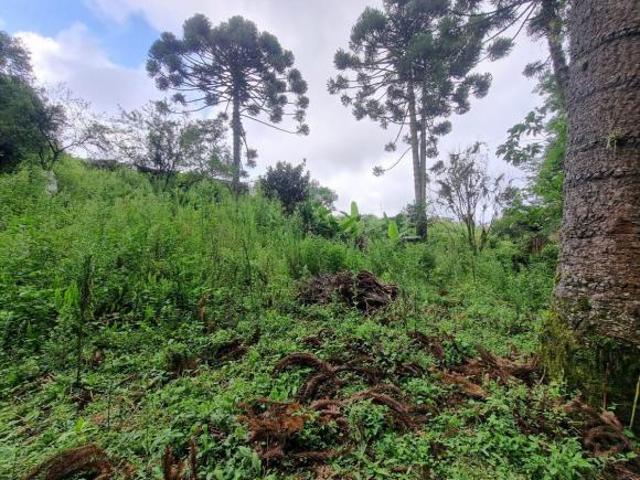 Terreno venda em Região Geográfica Imediata de Pouso Alegre, Senador Amaral