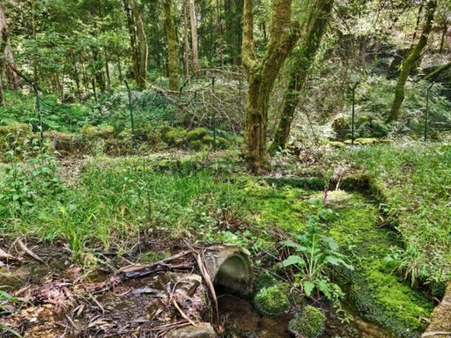 Terreno venda em Valença, Viana Do Castelo