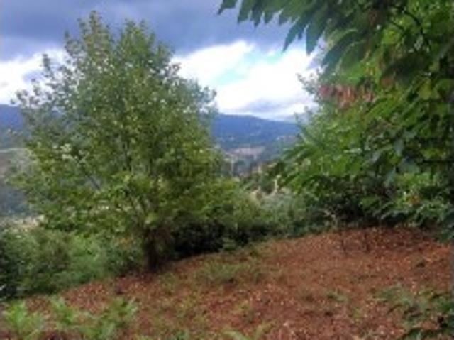 Terreno venda em Parada de Bouro, Parada Do Bouro