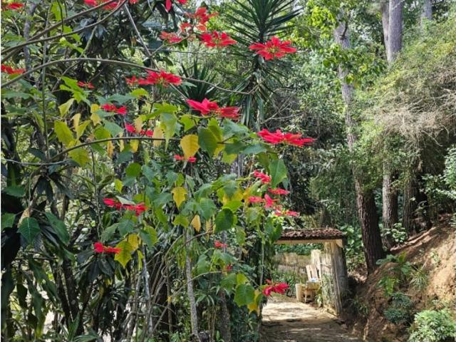 Terreno en venta en Francisco Linares Alcántara, Miranda