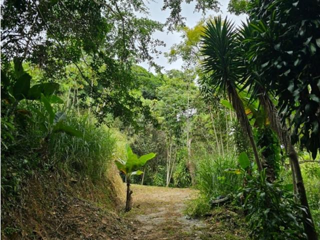 Terreno en venta en Francisco Linares Alcántara, Miranda