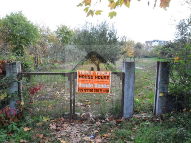 Terreno venda em Paredes, Bitarães