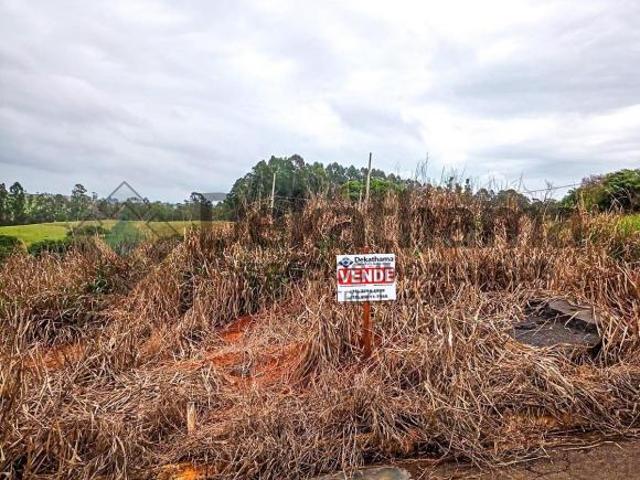 Terreno venda em Região Geográfica Imediata de Alfenas, Alterosa