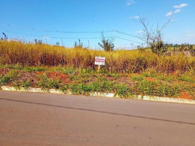 Terreno venda em Região Geográfica Imediata de Alfenas, Alterosa