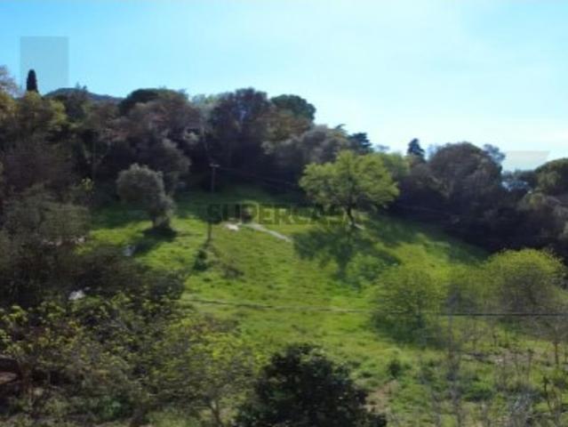 Terreno venda em Setúbal, Vale da Rasca Terreno venda em Setúbal, Vale da Rasca