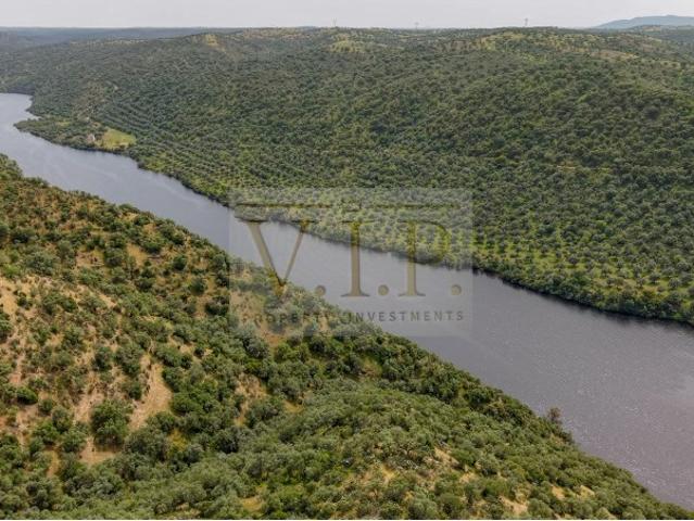 Terreno venda em Castelo Branco, Idanha-a-nova