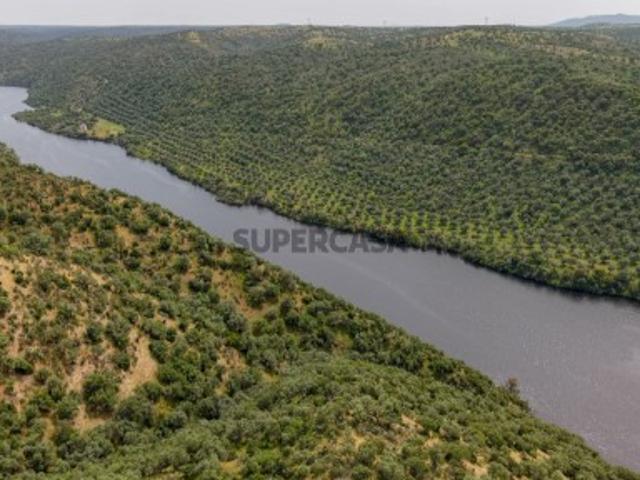 Terreno venda em Castelo Branco, Idanha-a-nova