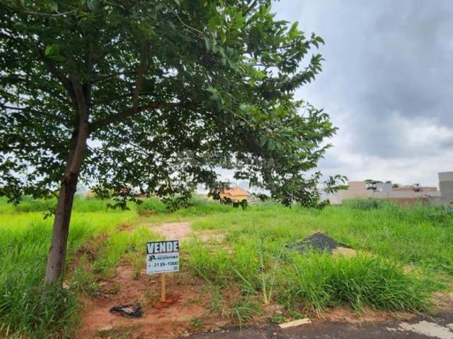 Terreno venda em Engenheiro Schmidt, São José do Rio Preto