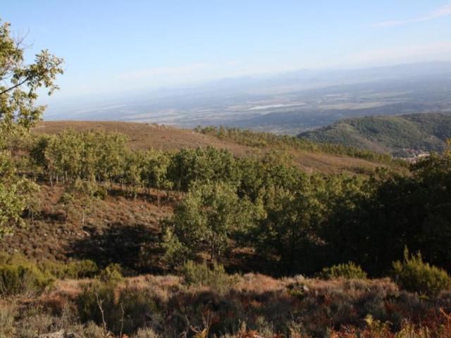 Terreno en venta en Pasarón De La Vera, Extremadura