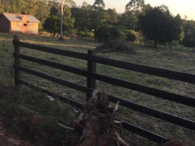 Terreno venda em Região Geográfica Imediata de Montenegro, Região Metropolitana de Porto Alegre