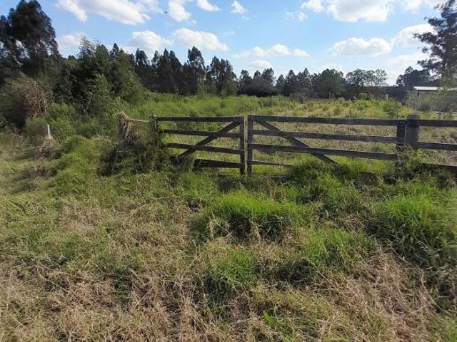 Terreno venda em Região Geográfica Imediata de Montenegro, Região Metropolitana de Porto Alegre