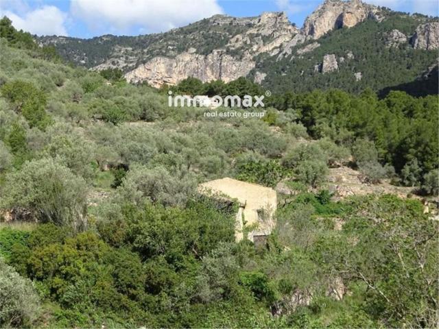 Terreno en venta en Paüls, Tarragona