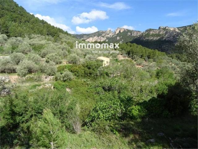 Terreno en venta en Baix Ebre, Catalunya