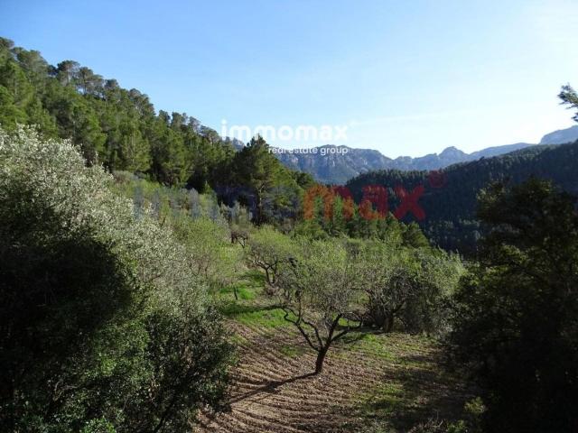 Terreno en venta en Baix Ebre, Catalunya