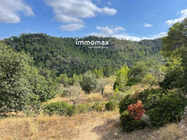 Terreno en venta en Baix Ebre, Catalunya