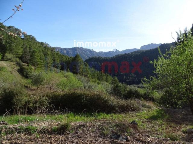 Terreno en venta en Baix Ebre, Catalunya