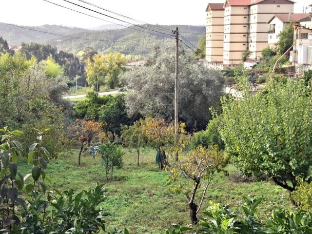 Terreno venda em Coimbrã, Ceira