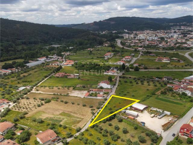 Terreno venda em Montoiro, Miranda Do Corvo