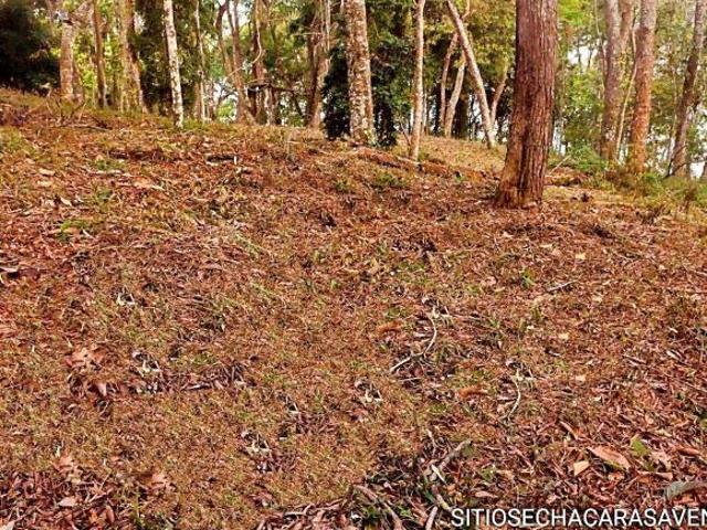 Terreno venda em Região Imediata de Bragança Paulista, Joanópolis