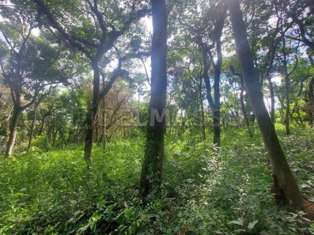 Terreno venda em Região Imediata de Sorocaba, Região Metropolitana de Sorocaba