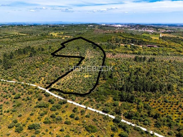 Terreno venda em Borba (Matriz), Borba