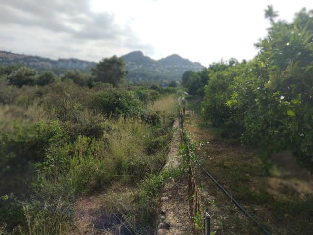Terreno en venta en la Marina Alta, Valencia