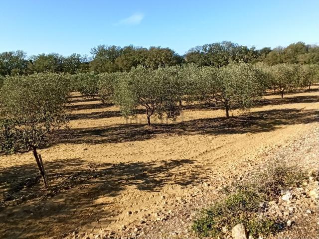 Terreno en venta en Alt Empordà, Catalunya