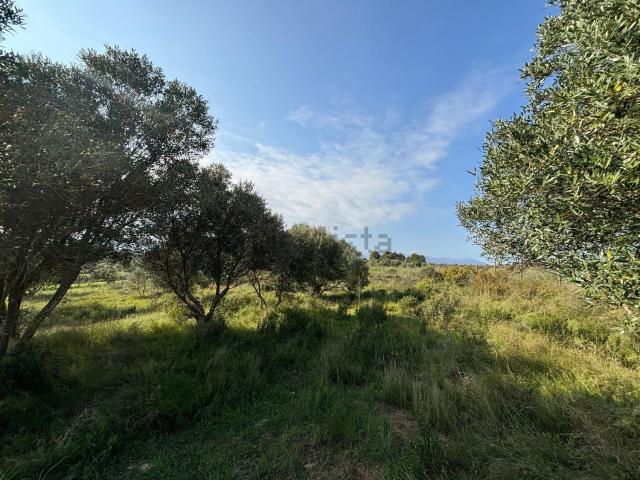 Terreno en venta en Alt Empordà, Catalunya