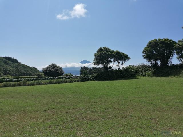 Terreno venda em Açores, Pedro Miguel