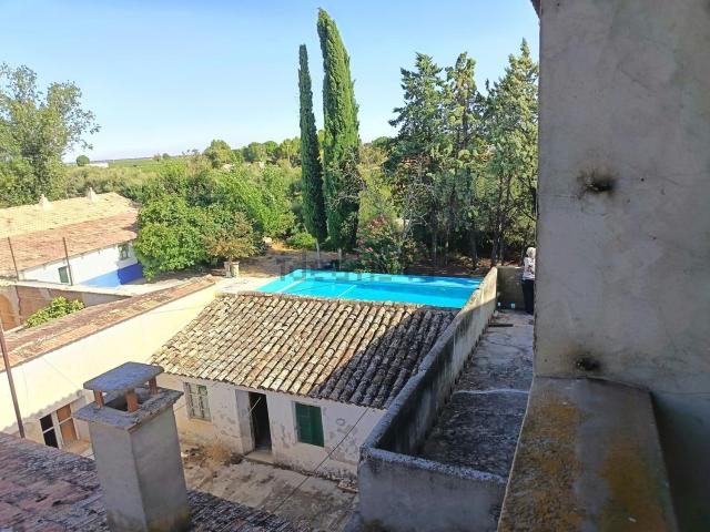 Terreno en venta en Pedro Muñoz, Castilla-La Mancha