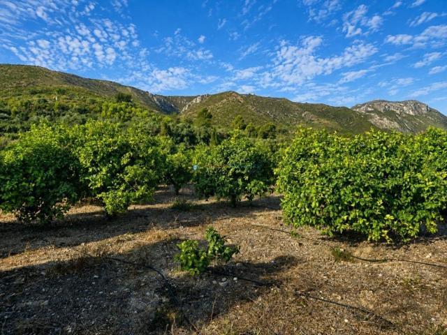 Terreno en venta en la Marina Alta, Valencia