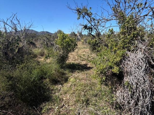 Terreno en venta en la Marina Alta, Valencia